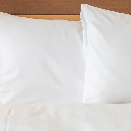 Otel Express Amsterdam - Schiphol By Ihg 3*