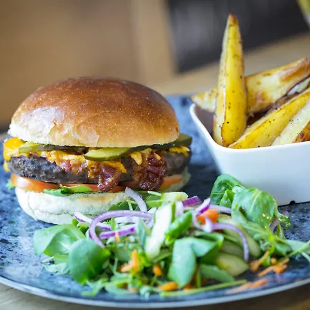 酒店 快捷假日酒店 霍夫多普