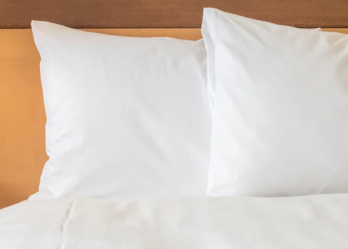 酒店 快捷假日酒店 3*