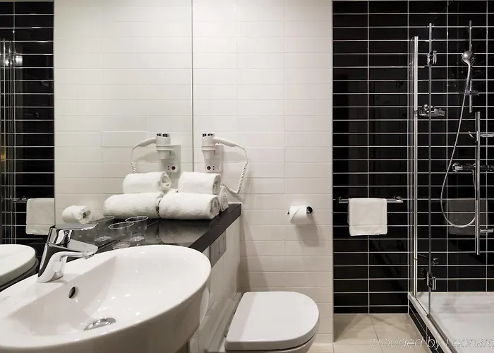 酒店 快捷假日酒店 霍夫多普