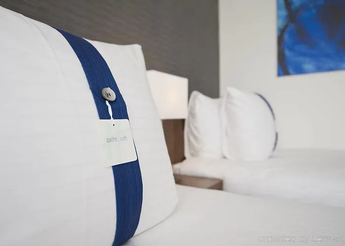 酒店 快捷假日酒店 霍夫多普